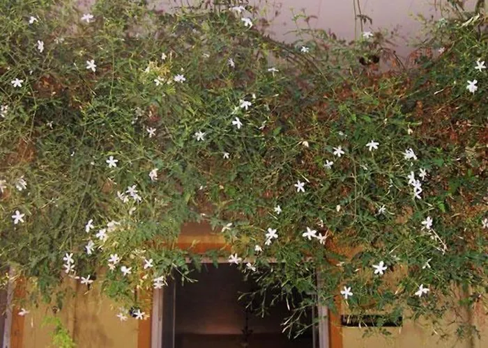 Metin Hotel Dalyan