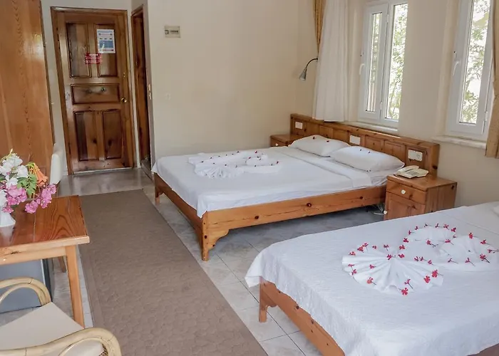 ホテル Metin ダルヤン