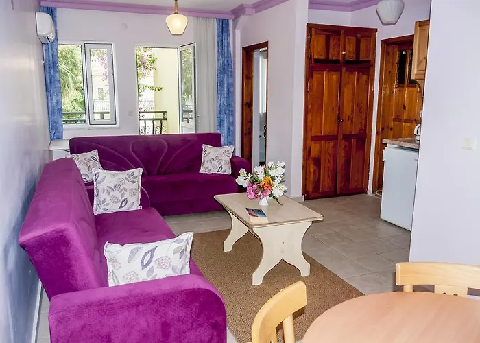 ホテル Metin ダルヤン